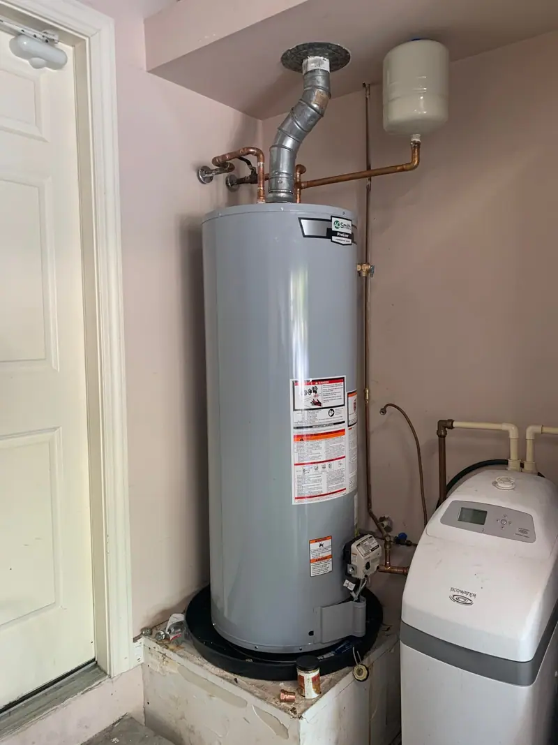Gas water heater beside a whole house softener