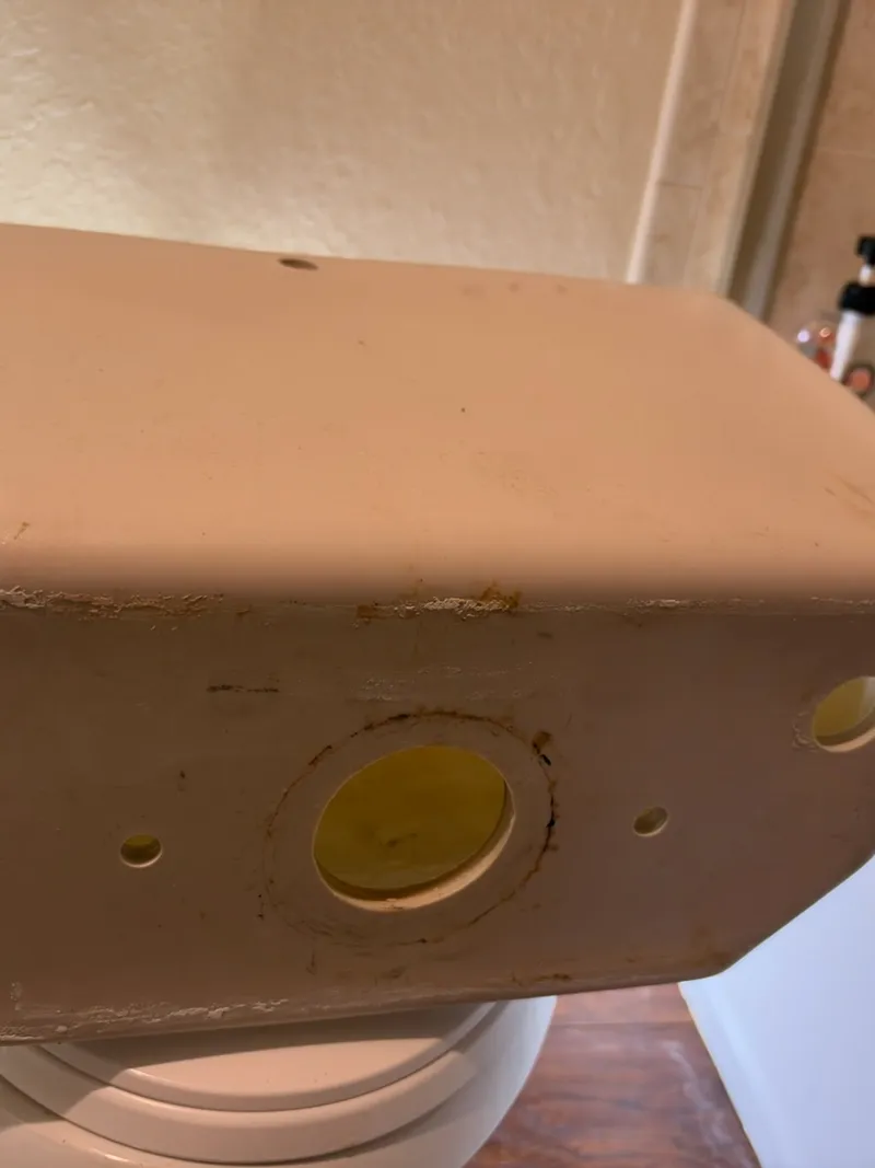 Underside of a removed toilet tank showing the flush valve opening and bolt holes